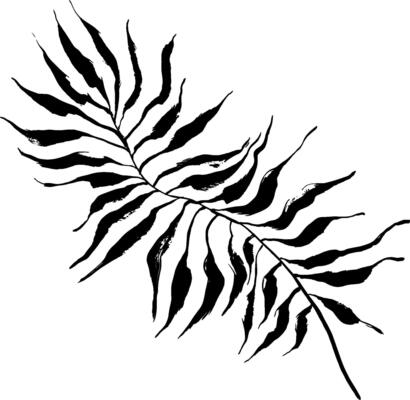A palm leaf silhouette on a white background