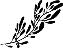 A black and white drawing of a branch with leaves vector