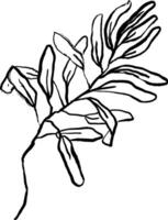A drawing of a leaf with leaves vector