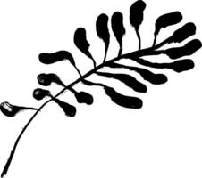 A black and white drawing of a fern leaf vector
