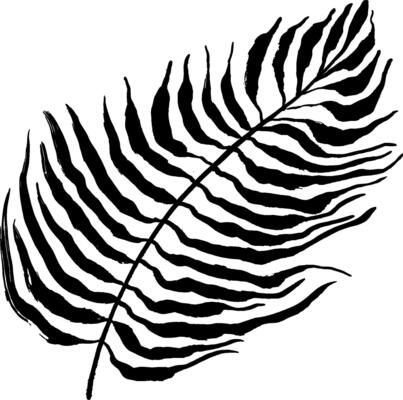 A black and white drawing of a palm leaf