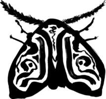 A black and white drawing of a moth with a zebra pattern vector