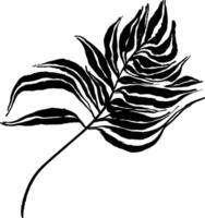 A black and white drawing of a palm leaf vector