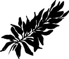 A black and white drawing of a leaf vector