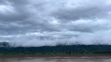 The misty background and cloudy skies add an atmospheric, peaceful tone, green forest blanketed by a layer of mist, capturing the beauty of nature in a tranquil, atmospheric scene, time lapse video