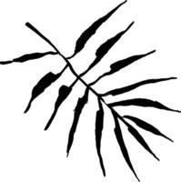 A black and white drawing of a palm leaf vector