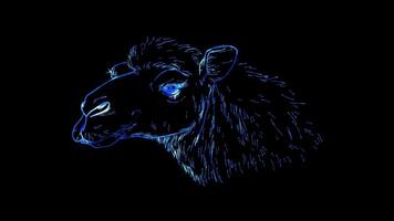 Neon frame effect, camel with a content expression and a tuft of fur on black background video