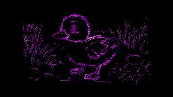 Neon frame effect, duckling waddling around on black background video