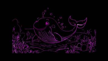 Neon frame effect, Whale Spouting Water on black background video