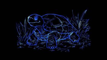 Neon frame effect, Cheerful Tortoise Moving on black background video