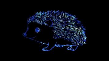 Neon frame effect, porcupine with soft quills and a friendly face on black background video