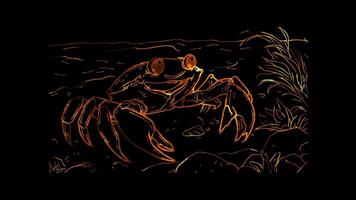 Neon frame effect, Cheerful Crab on the Shore on black background video