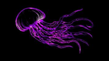 Neon frame effect, Happy Jellyfish with Tentacles on black background video