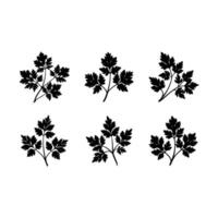 Parsley and Line Art Design for Printables vector