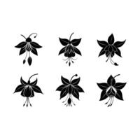 Fuchsia Flower and Line Art Illustration vector