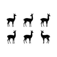 Charming vicuna and line art design perfect for creative printables. vector