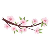 Sakura tree branch in flat design. Pink cherry blossoms and bud on twig. illustration isolated. vector