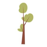 Abstract green tree in flat design. Forest plant with simple shapes. illustration isolated. vector