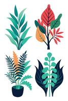 Four different types of plants in pots vector