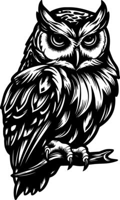 Owl - Black and White Isolated Icon - illustration
