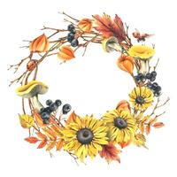 Autumn berries physalis, chokeberry, rowan leaves, maple, birch, russula mushrooms, rudbeckia flowers, tree branches and ladybugs. Watercolor illustrations. Round frame wreath isolated from background vector