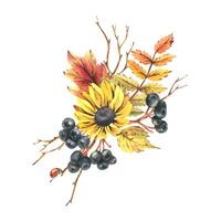 Autumn berries physalis, chokeberry, rowan leaves, maple, birch, russula mushrooms, rudbeckia flowers, tree branches and ladybugs. Watercolor illustrations. Sublimation isolated from the background vector