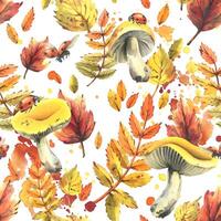 Autumn rowan leaves, maple, birch, russula mushrooms, tree branches and ladybugs. Watercolor illustrations. Seamless pattern on a white background vector