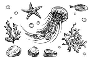 Jellyfish, shells, starfish, fish, bubbles, pebbles and other sea animals and plants. Graphic illustration hand drawn in black ink. Set of isolated objects EPS . vector