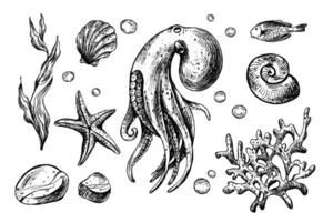 Octopus, shells, starfish, fish, bubbles, pebbles and other sea animals and plants. Graphic illustration hand drawn in black ink. Set of isolated objects EPS . vector
