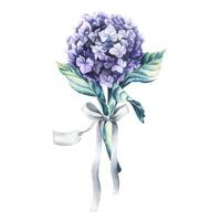 A lilac hydrangea flower with a satin bow and a paper tag for the inscription. Watercolor illustration. An isolated object from the WEDDING FLOWERS collection. For the design and design of printing. vector