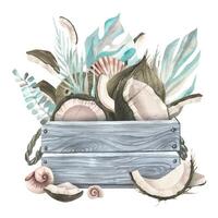 Whole coconuts and slices with tropical palm leaves and shells in a gray wooden box. watercolor illustration. Template on white background from COCONUTS collection. For decoration and design vector