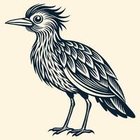 A black and white drawing of a bird with long feathers vector