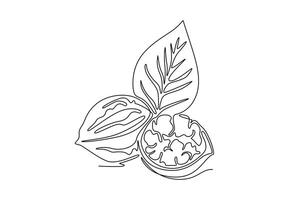 Single continuous line drawing whole healthy organic walnut and leaves for orchard logo identity. Fresh nutshell concept for healthy seed icon. Dynamic one line draw graphic design illustration vector