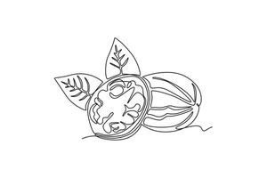 Single continuous line drawing of whole healthy organic walnut food and leaves for orchard logo identity. Fresh nutshell concept for healthy seed icon. One line draw graphic design illustration vector