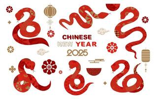 2025 snake chinese element object for icon vector