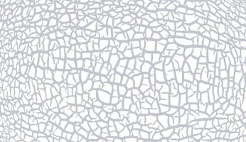 Craquelure grunge background. Cracked paint structure. Ceramic tile pattern. Exfoliate surface. Consisting of fine cracks on the white surface. Overlay texture with aged effect vector