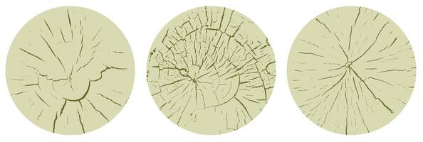 Set of circle wood texture, cross section of tree rings. Cut slice of wooden stump with cracks, isolated on white vector