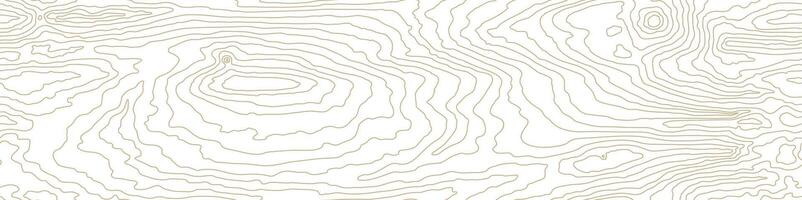 Seamless wooden pattern. Wood grain texture. Dense lines. Abstract white background vector