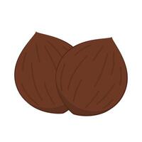 Coconut . flat illustration isolated on white background. vector
