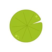 Lily pad . Lily cartoon on white background. vector