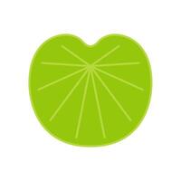 Lily pad . Lily cartoon on white background. vector