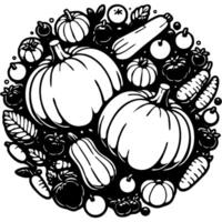 Pumpkins fruits and vegetables top view in monochrome. Simple minimalistic in black ink drawing on white background vector