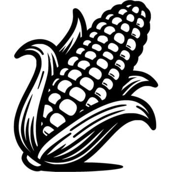 Ear of ripe corn with the husks open in monochrome. Simple minimalistic in black ink drawing on white background vector