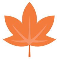 Autumn leaves icon isolated on white background. vector