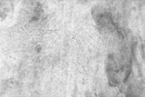 Black dots pattern. Grunge halftone effect background. vector