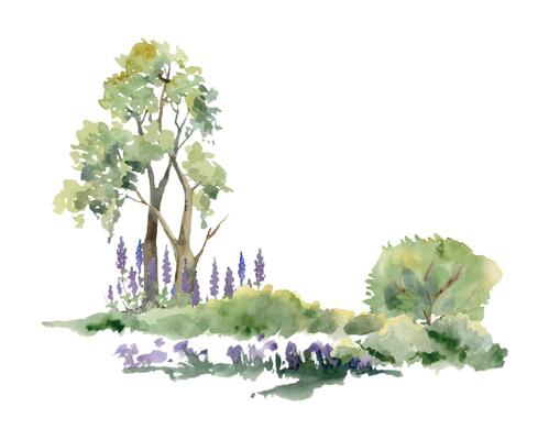 Scenery landscape of northern forest meadow grassland with bushes lupin flowers, lush green foliage tree, watercolor hand drawn. Illustration for tourism, resort ads, hiking camping sites, vacation.