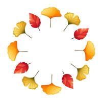 Autumn wreath, round frame of red tree leaves and yellow and green ginkgo leaves on white background. Empty space for text. Design element for Thanksgiving, fall sale, seasonal cards and posters. vector