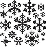 A different snowflakes Set with a white background vector