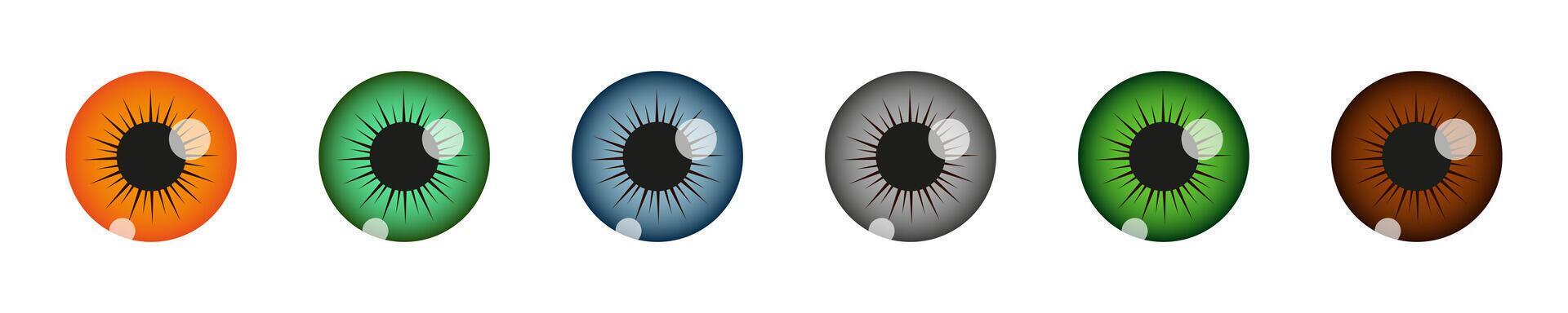 Closeup view of human eye pupils with different colors. Espionage, curiosity, spying, surveillance concept