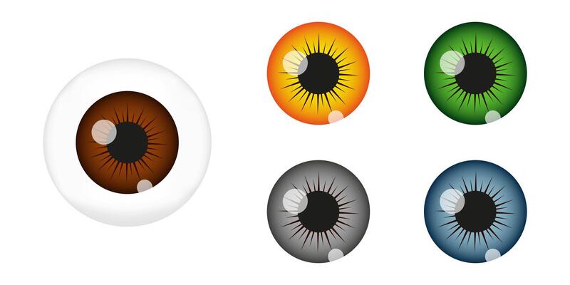 Human eye ball constructor with brown, green, gray, blue pupils. Eyeball creation tool. Espionage, curiosity, spying, surveillance concept